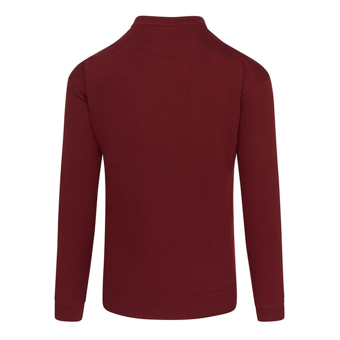 Kite Sweatshirt - More Colours