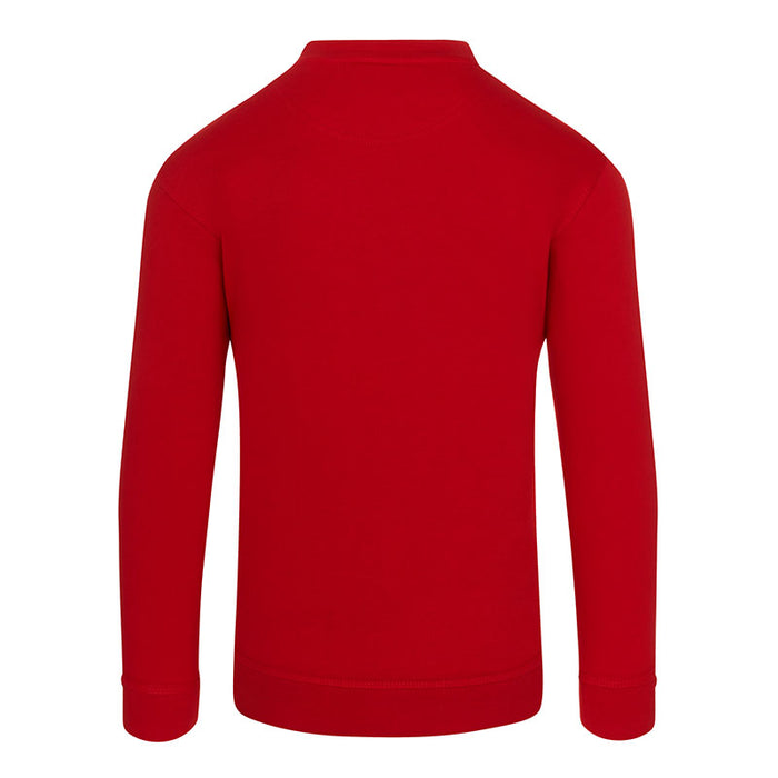 Kite Sweatshirt