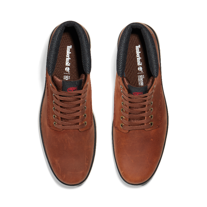 Bradstreet Lace-Up Trainer