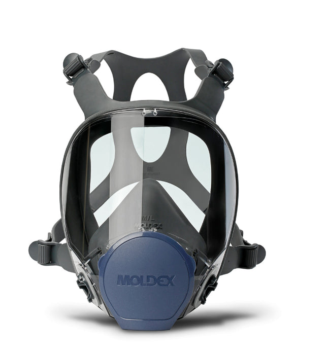 Full Face Mask