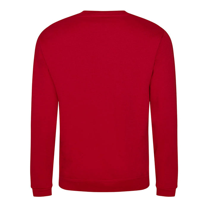 RX301 - Pro RTX Sweatshirt