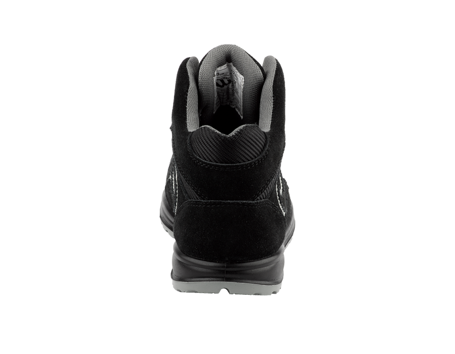 WF33-P Trainer