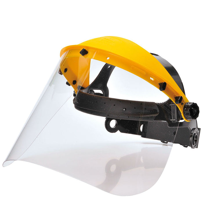 Browguard and Visor