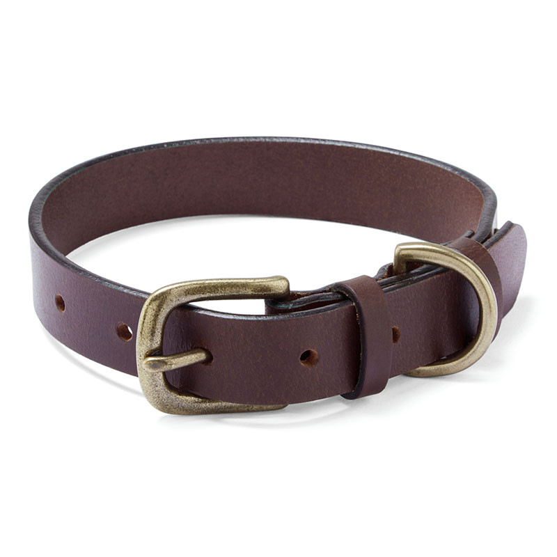 Dog Collar