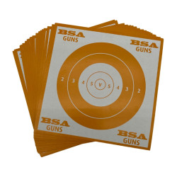 100x Paper Targets