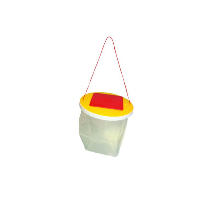 Redtop Fly Catcher