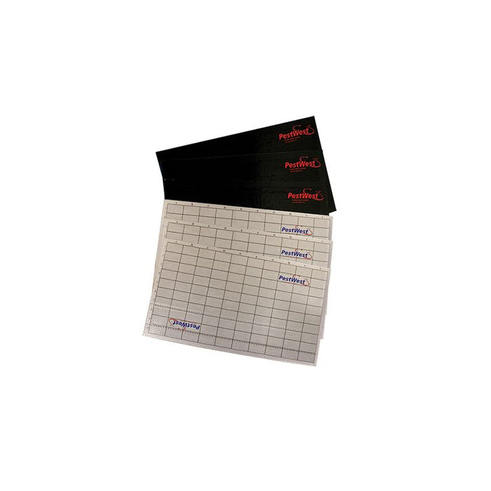 Pestwest Chameleon Sticky Boards - Pack of 6